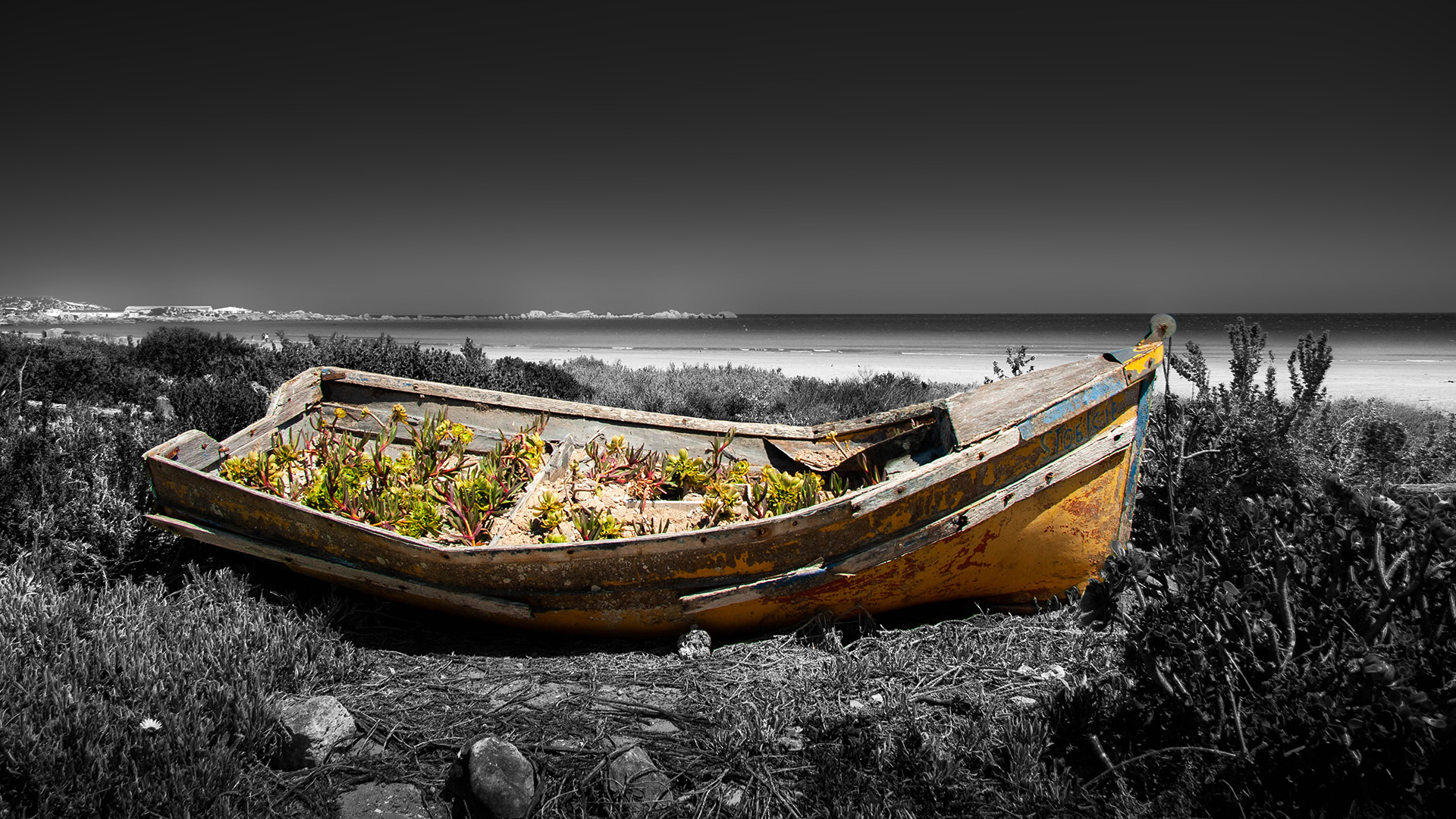 fpss-old-relic image fpss-old-relic Exposed Photography | Fine Art Landscape & Portrait Photographer